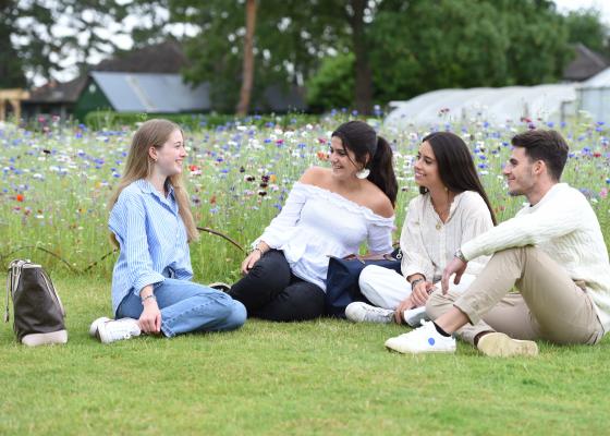 Students by the wildflowers