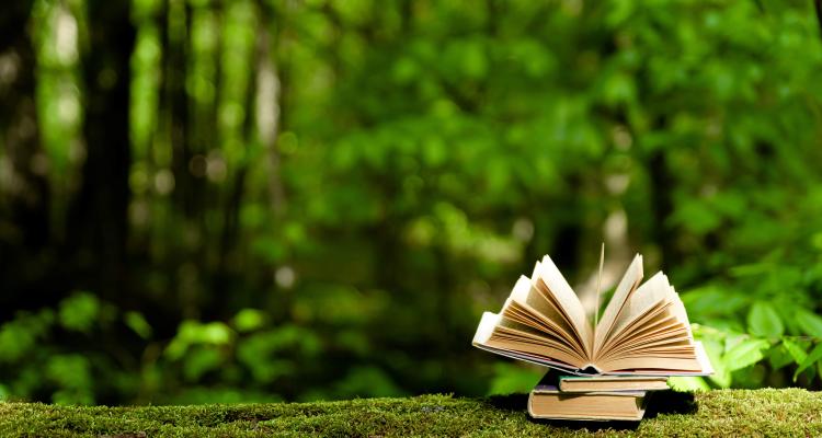 Open book laying on fallen moss covered tree within a forest