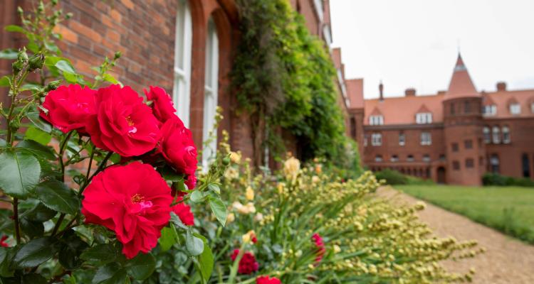 Emily Davies Rose in Emily Davies Courtyard at Girton College