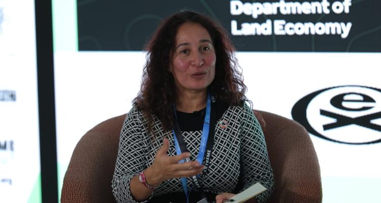 Antoinette Nestor speaking on a panel at Cop29. Screen behind reads Department of Land Economy