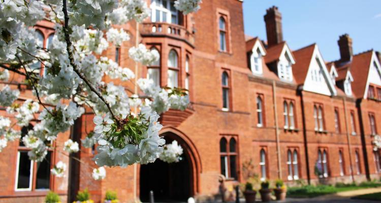 Blossoms and the College Tower