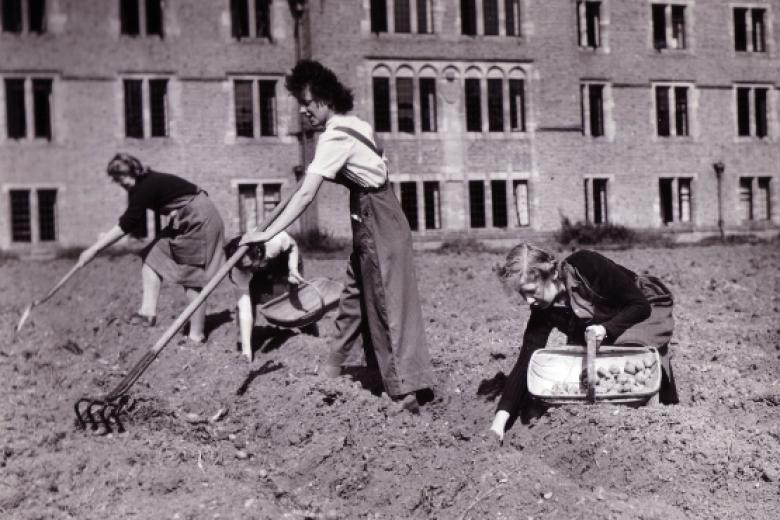 students collecting potatoes